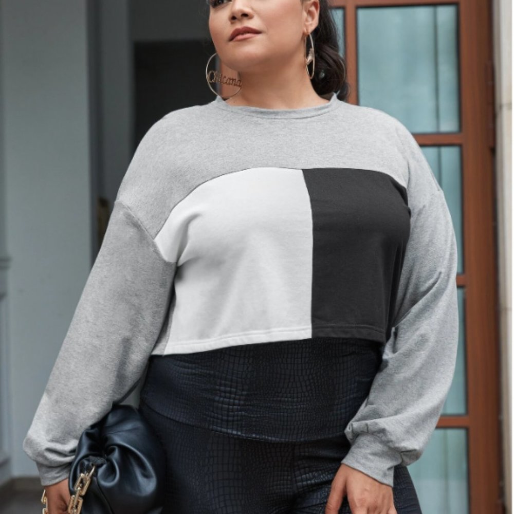 NWOT - Colorblock Pullover - Picture 2 of 10
